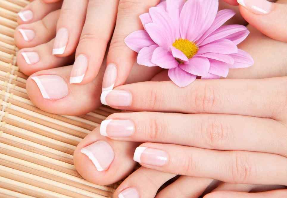 AQ Nails & Spa Logo