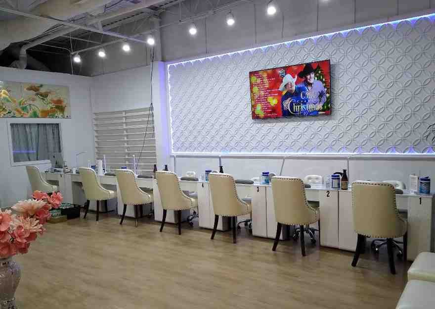 Precious Nails & Spa Logo