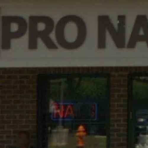 Pro Nails Logo