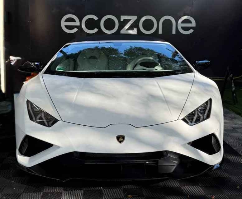 Carwash Ecozone detailing Logo