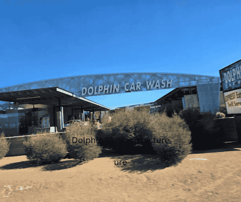 Dolphin Carwash Logo