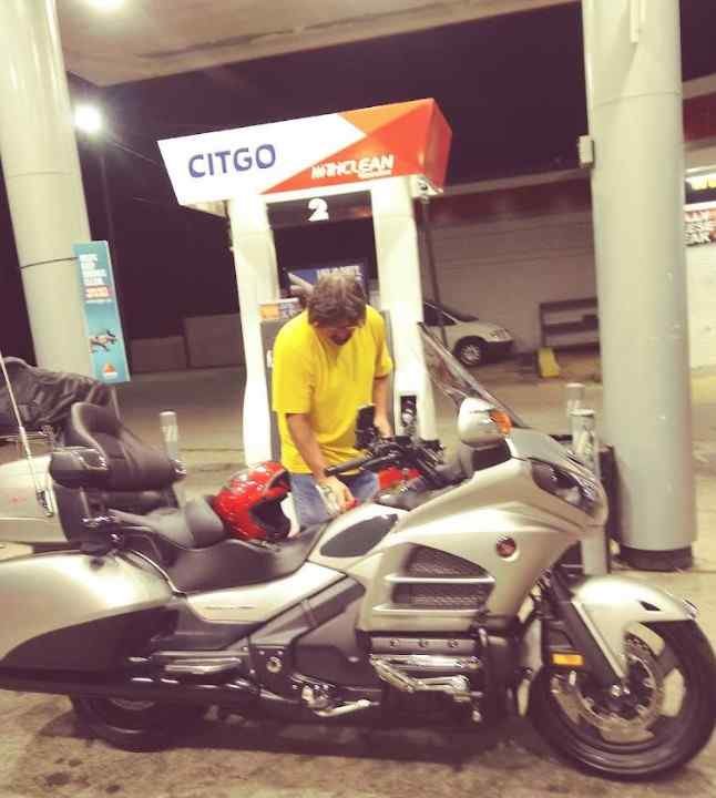 UNIVERSITY MARKET Logo